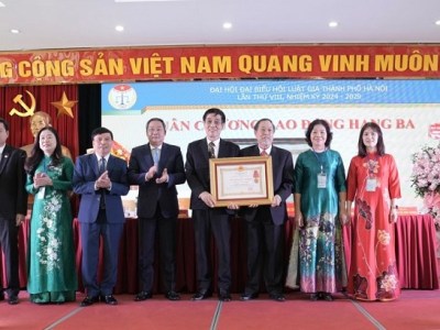 Ông Đào Bá Sơn giữ chức Chủ tịch Hội Luật gia thành phố Hà Nội khóa&nbsp;VIII